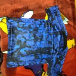 PALMER #10 Chelsea Home Soccer Jersey 2025/26 photo review